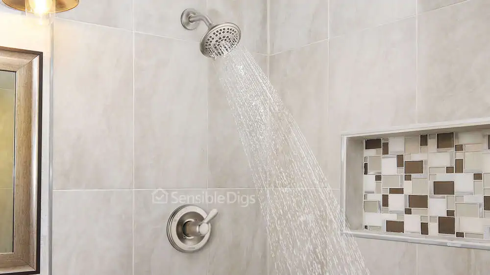 Photo of the Delta Single-Function Shower Faucet Lahara