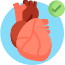 15. Cushions Tissues and Organs Icon