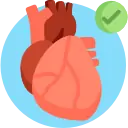 15. Cushions Tissues and Organs Icon