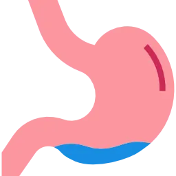 8. Aids Digestion Icon