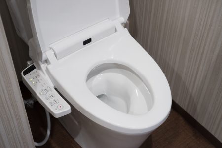 Heated toilet seat