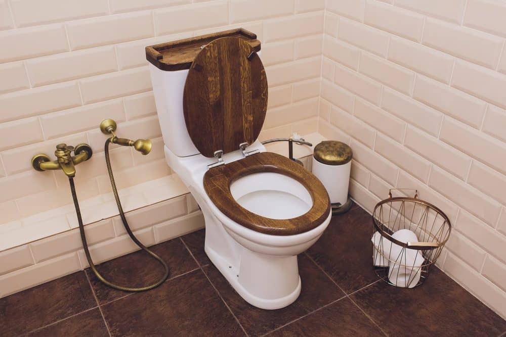 5 Best Wooden Toilet Seats (2020 Reviews) - Sensible Digs