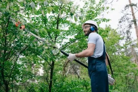 Man trimming trees with an electric pole saw