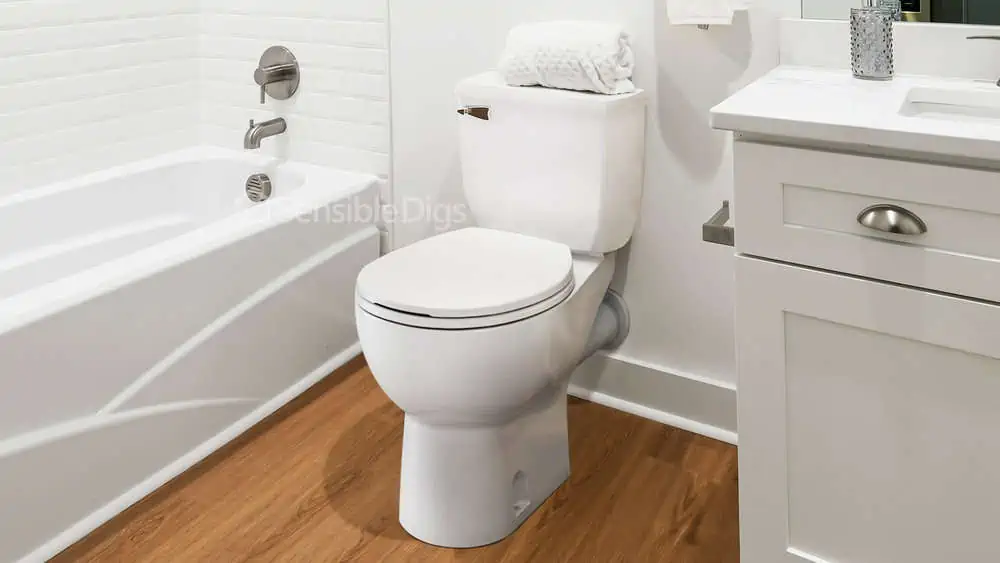 Photo of the Saniflo SaniAcess 3 Elongated Toilet