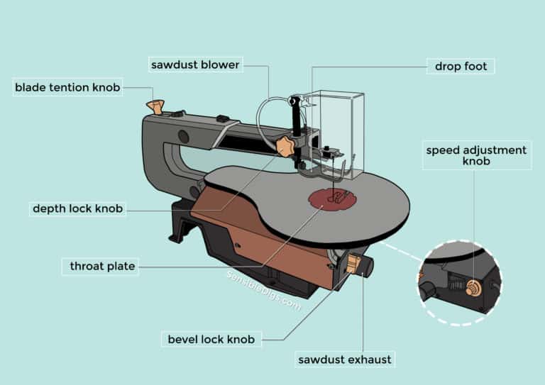 How to Use a Scroll Saw (StepByStep) Sensible Digs