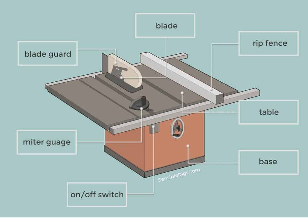 How to Use a Table Saw (Expert Guide) Sensible Digs