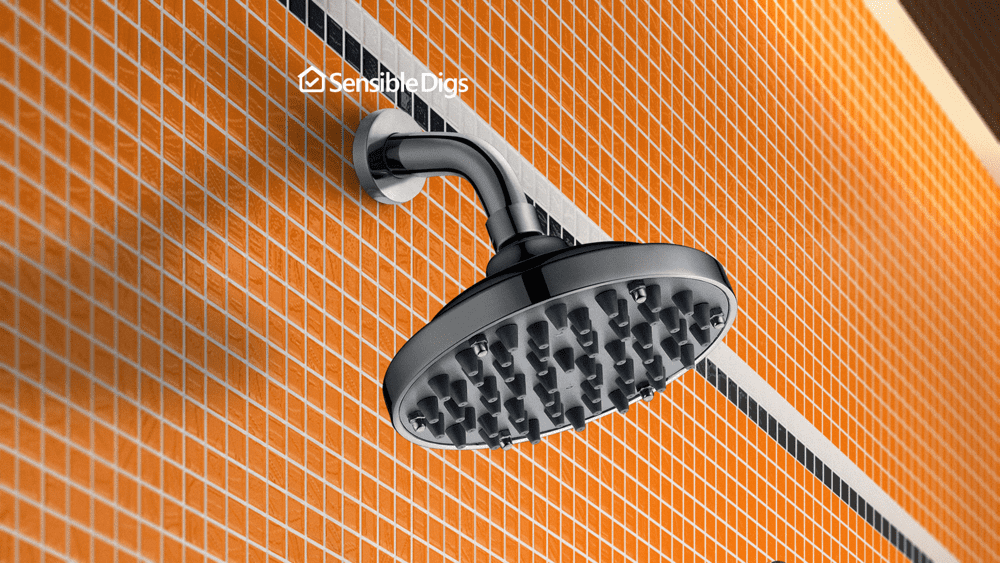 Photo of the WantBa Shower Head