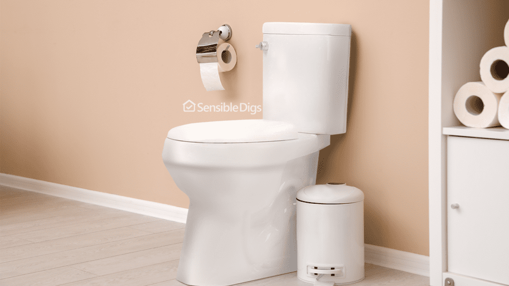 Photo of the 20-Inch Convenient Height Tall Toilet