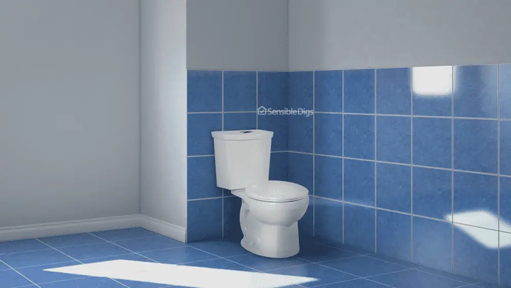 Photo of the American Standard H2Option Dual Flush Toilet