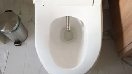 Modern toilet seat with bidet