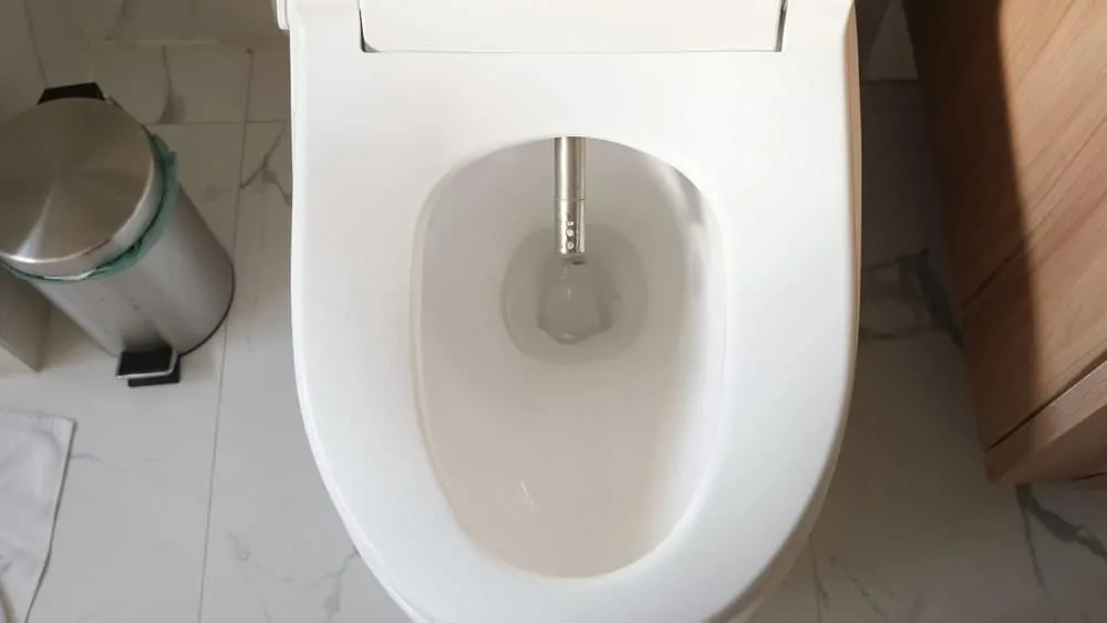 Modern toilet seat with bidet