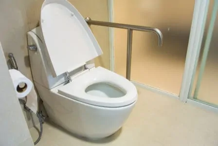 A comfort height toilet for disabled person