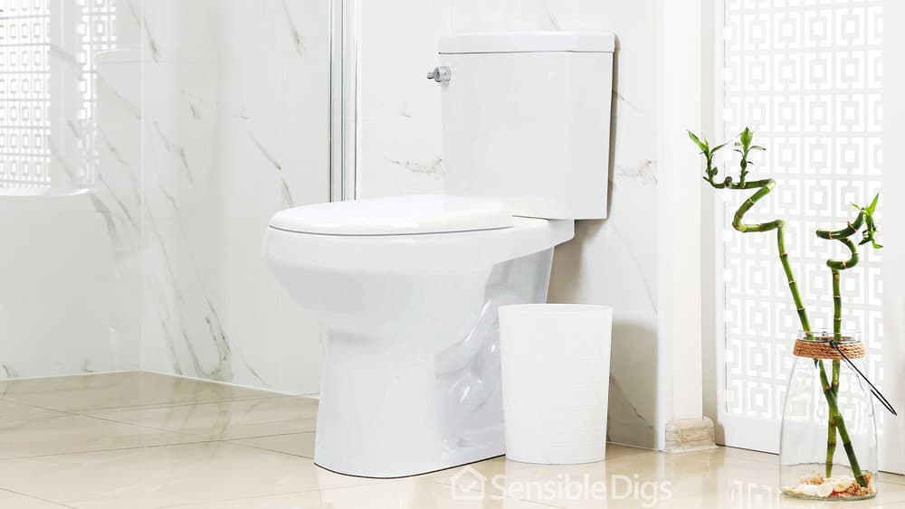 Photo of the Convenient Height 20-Inch Toilet