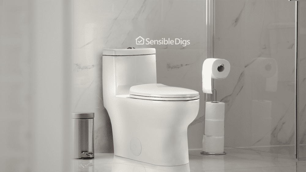 Photo of the DeerValley Dual Flush Elongated Toilet