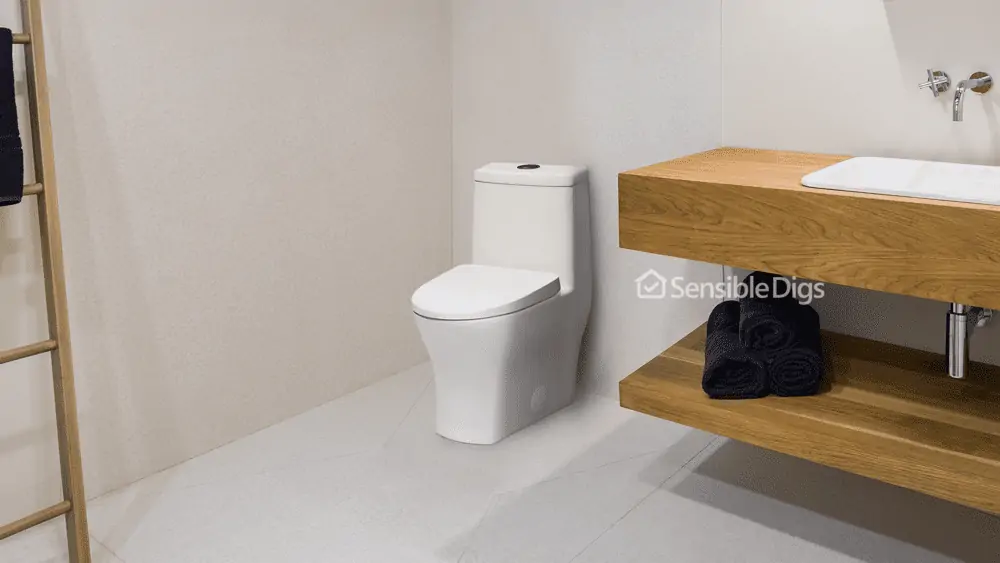 Photo of the Swiss Madison Forever SM-1T257 Sublime One-Piece Toilet