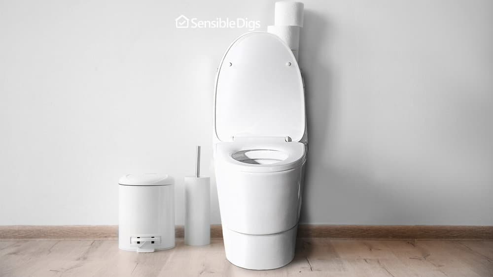 Photo of the Woodbridge T-0001-CH Dual Flush Toilet