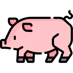Pigskin Icon
