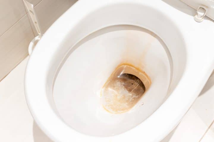 how to remove black ring in toilet bowl