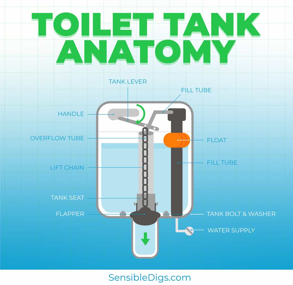 Toilet Tank Anatomy