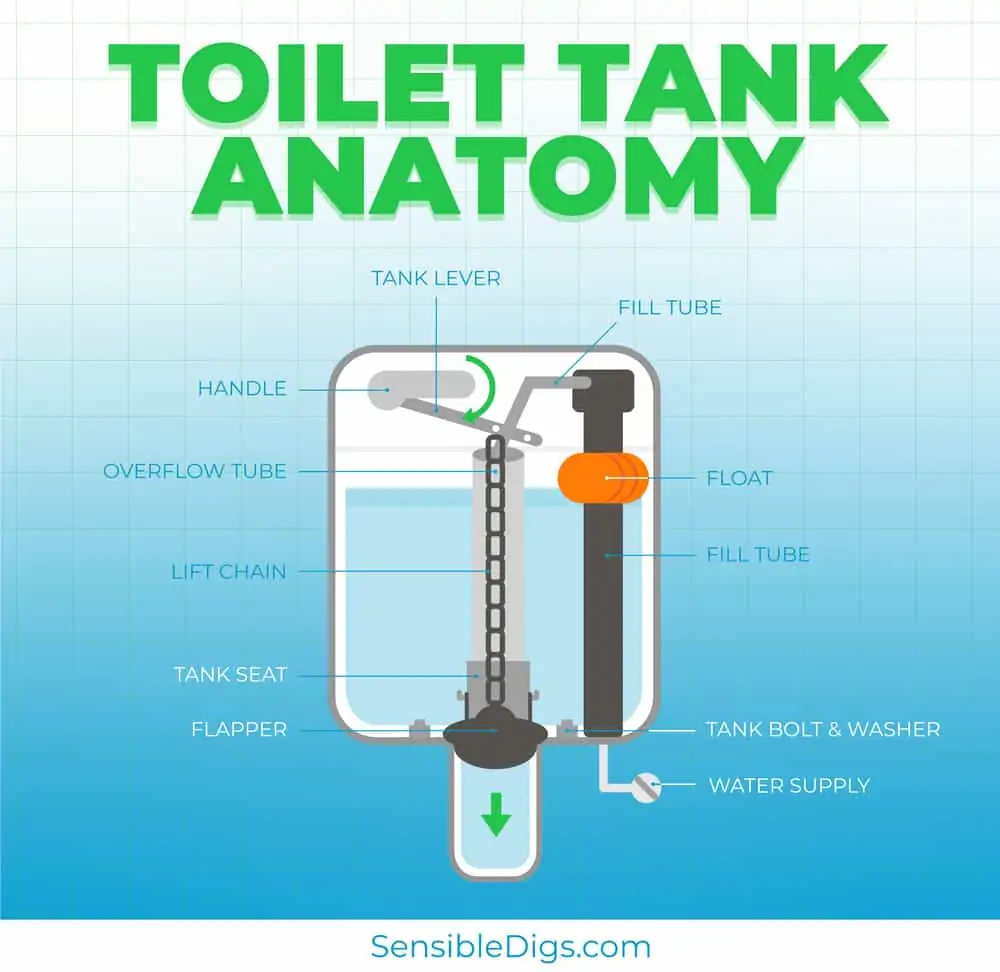 Toilet Tank Anatomy