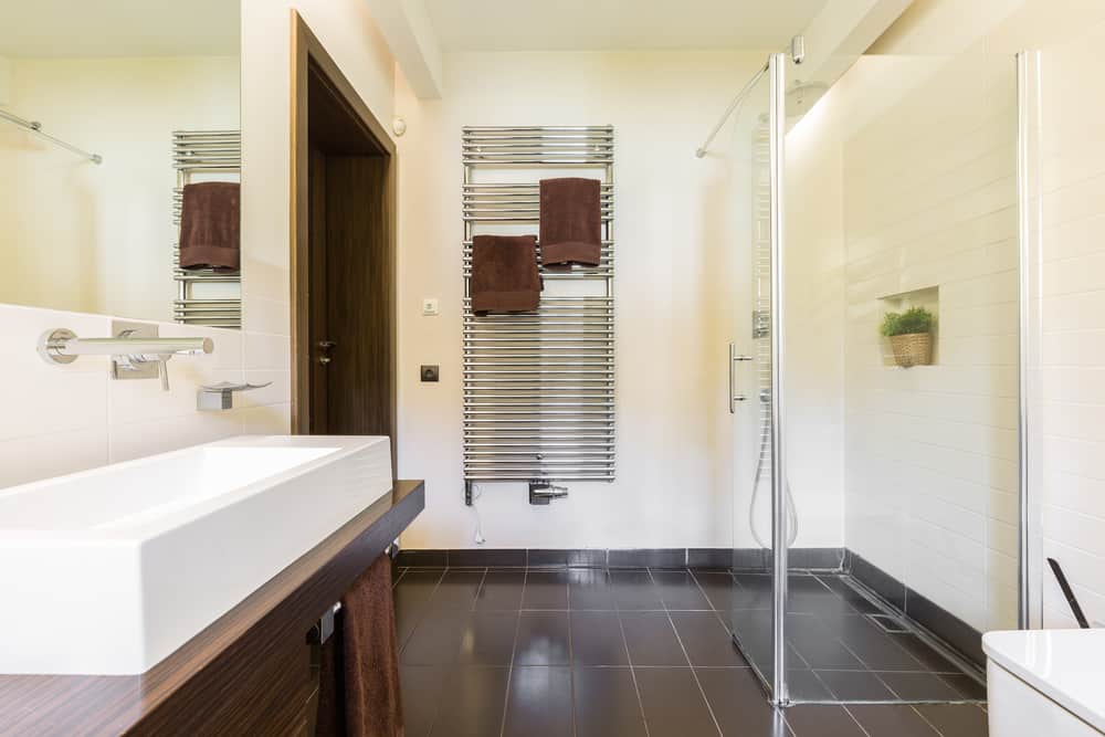 Glass roll-in shower in elegant bathroom