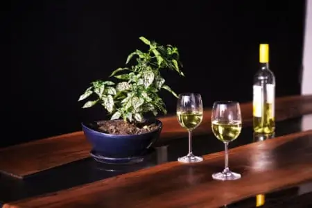 White wine served on a luxurious epoxy wooden table