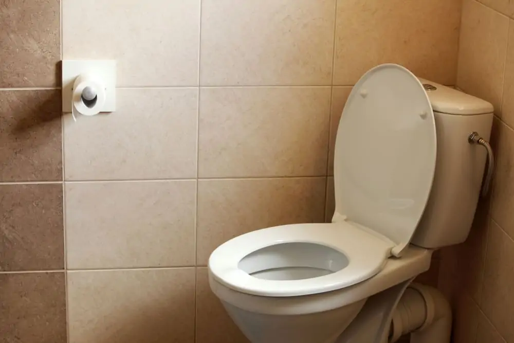 plastic toilet seat