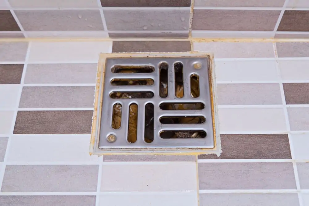 Dirty stainless steel shower drain