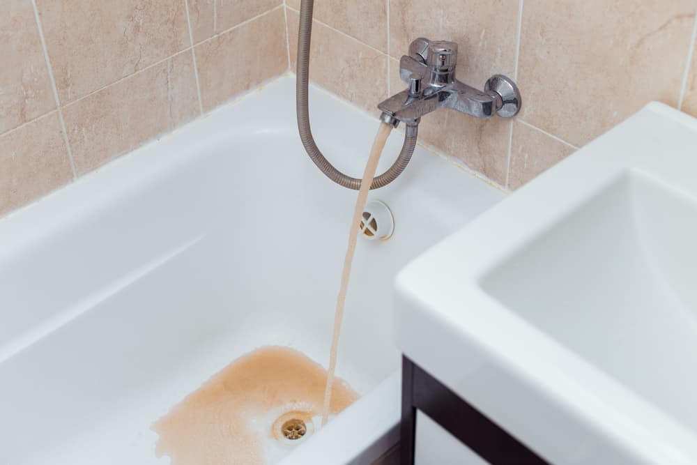 water bacteria