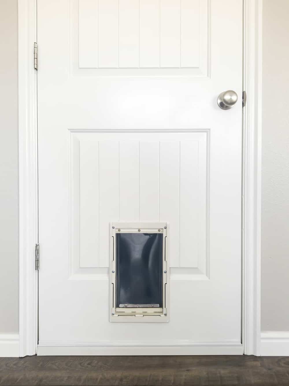 Close up of white wooden panelled door with small pet door at the bottom