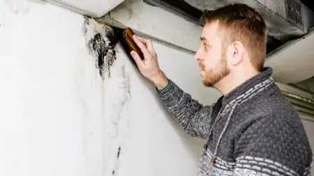 Bearded man removes black mold on the wall after leakage
