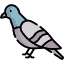 Why Does a Pigeon Keep Coming Back to My House? Icon