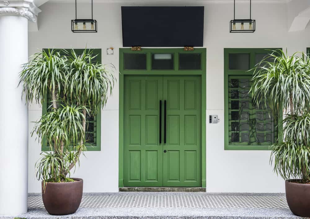 sage green front door