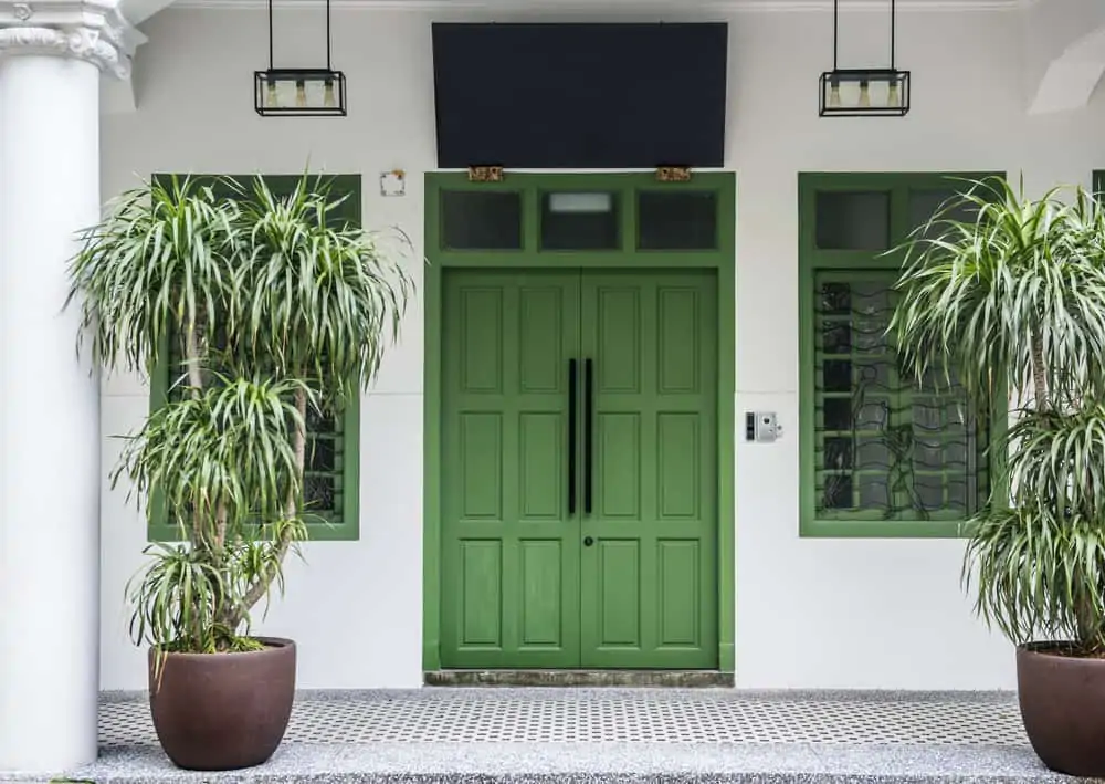 sage green front door
