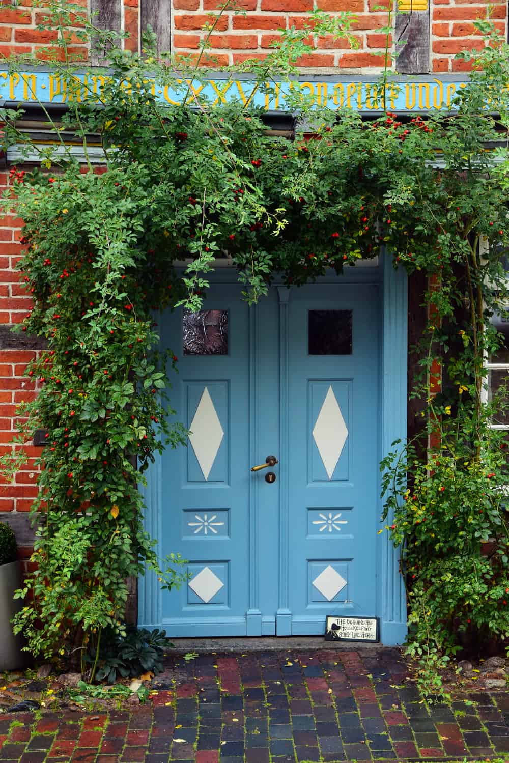 blue painted front door with patterns in a historic half-timbered house with climbing plants at the entrance, typical for northern Germany