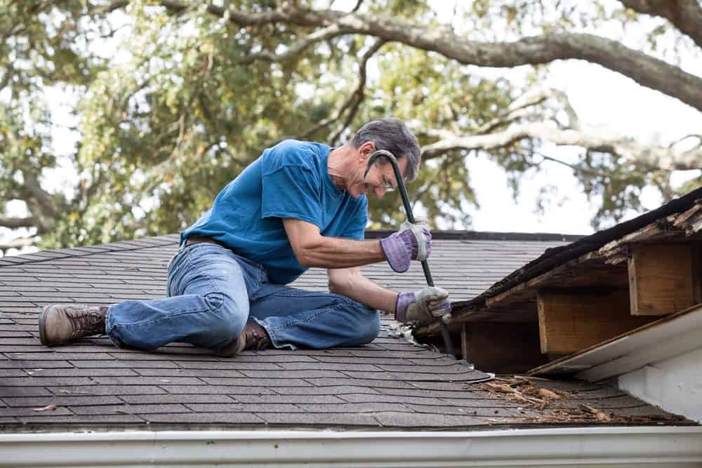 Man Prying Rotten Wood from Roof Beams and Decking