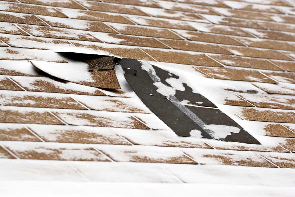 Winter Damaged Roof Shingles