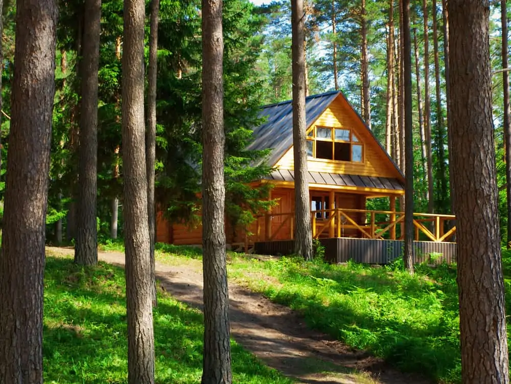 Log house in the forest