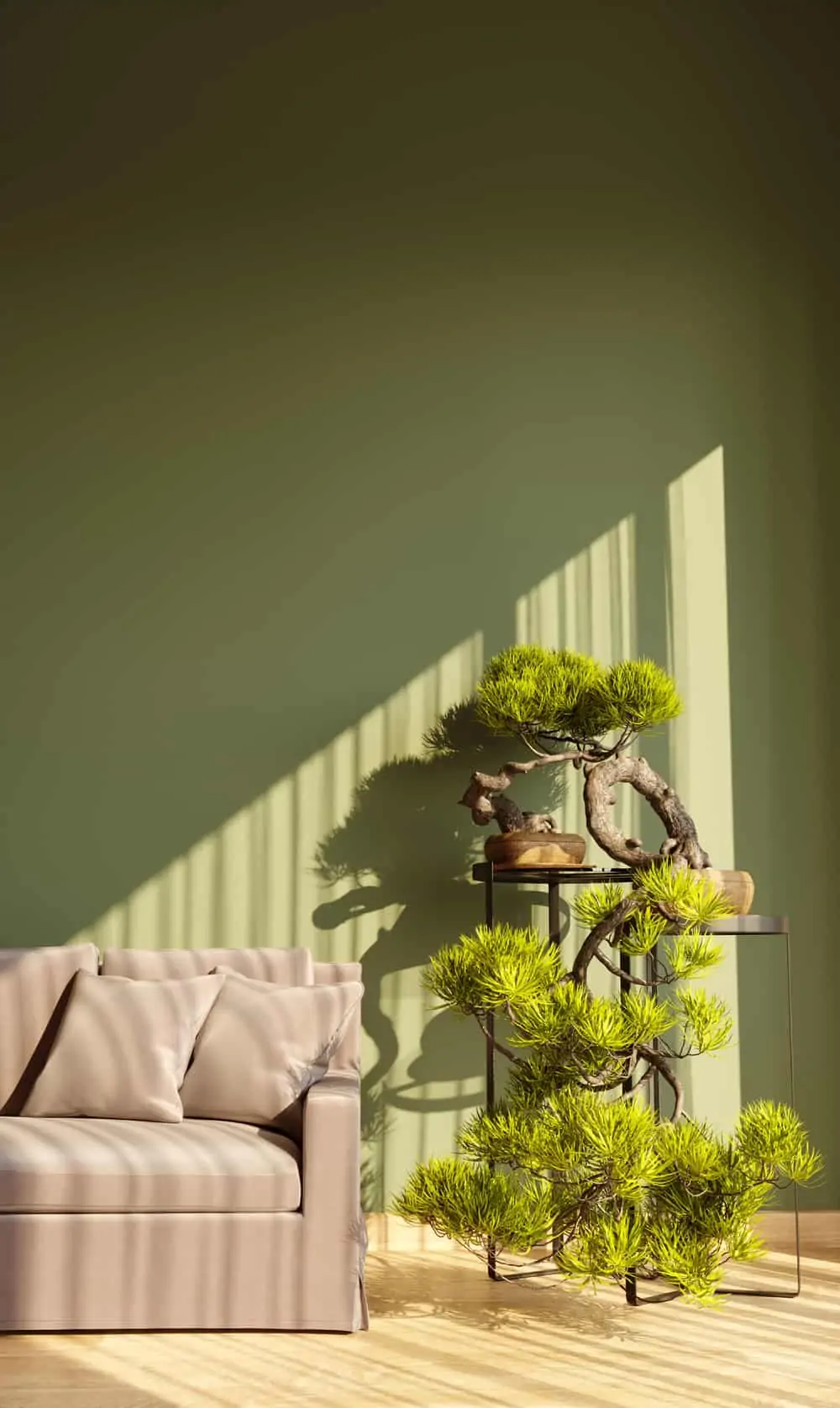 3d illustration of living room with green wall and pine bonsai. Modern green interior with plant on the stand, sunlight, shadows and copy space.