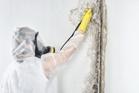 A professional disinfector in overalls processes the walls from mold. Removal of black fungus in the apartment and house. Aspergillus.