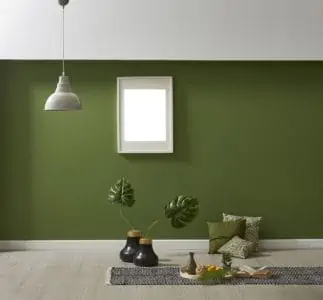 Olive green paint wall