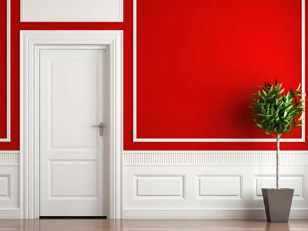 Interior design of classic room in red and white colors with plant