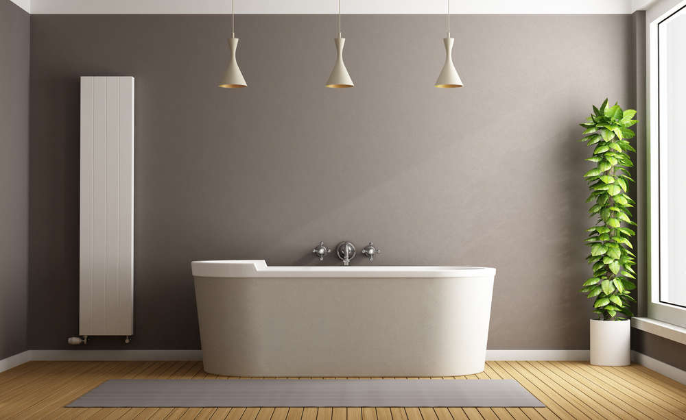 Minimalist bathroom with elegant bathtub, vertical heater and plant - 3D Rendering