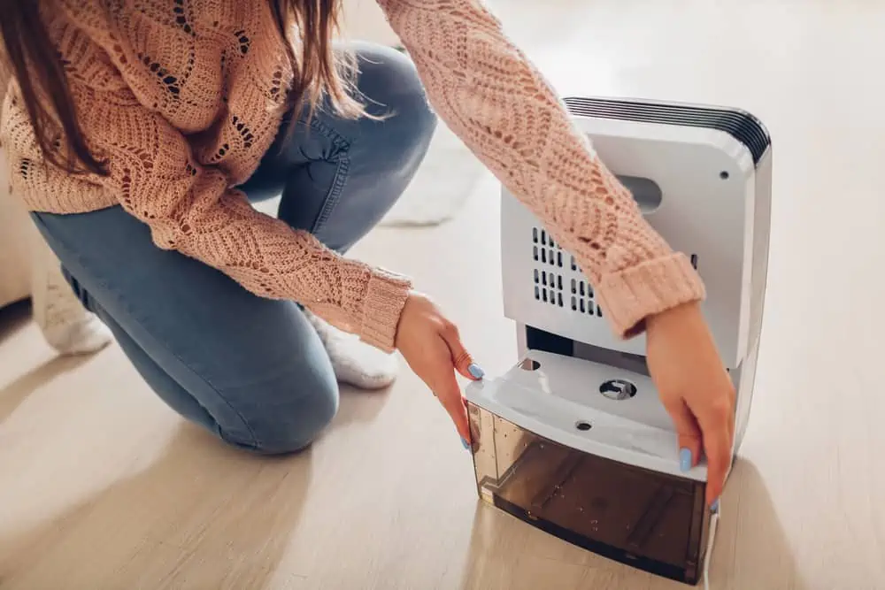 Woman changing water container of dehumidifier at home. Dampness in apartment. Modern air dryer technology