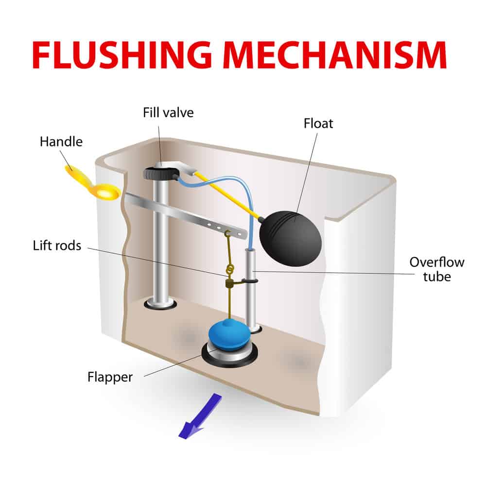 Flush toilet flushing mechanism vector diagram