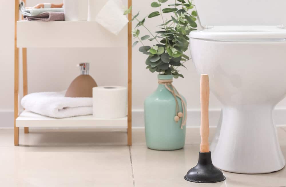 Plunger near toilet bowl in bathroom