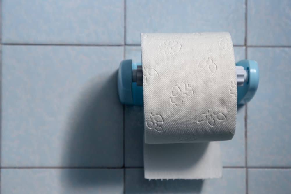 Roll of toilet paper on plastic paper holder on a light blue bathroom wall.