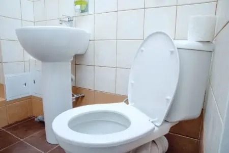 toilet seat turning blue