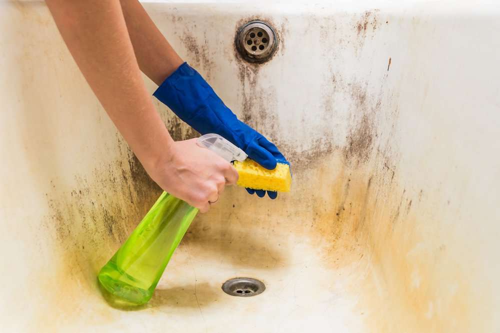 Female hand in blue gloves cleaning dirty bathtub with spray