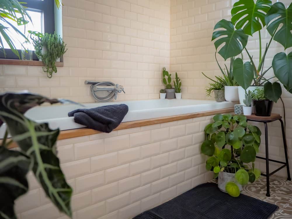 Small bathroom with subway tiles and variety of green potted plants